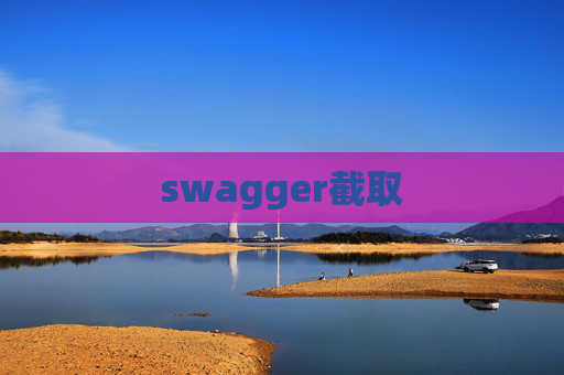 swagger截取